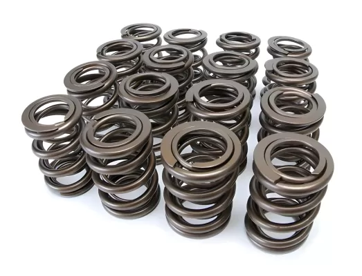 Skunk2 Pro Series Valve Springs for Honda Civic 15 14 13 12 11 10